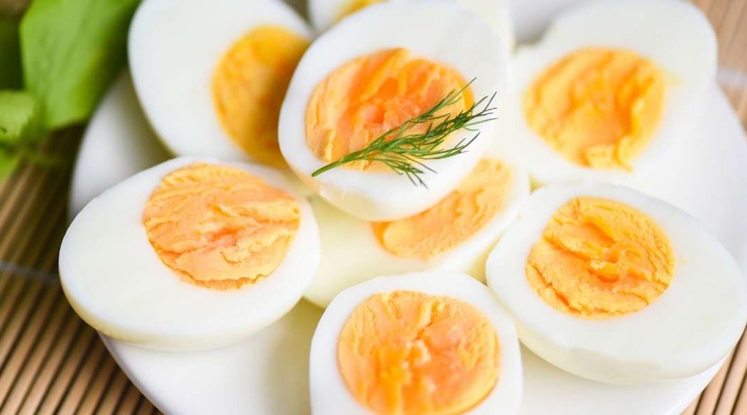 Collation protéinée : quelles sont les meilleures options pour tenir toute la journée ?