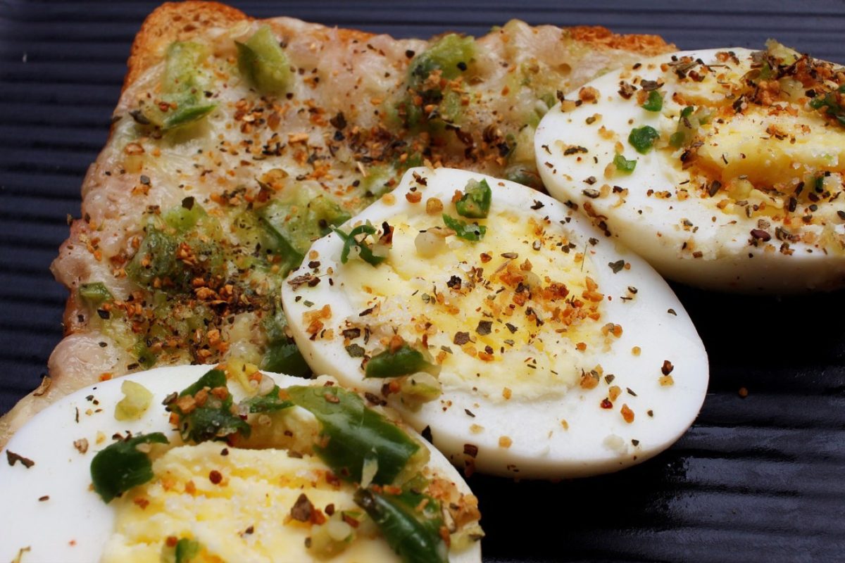 Comparatif barres protéinées : digestion et performance