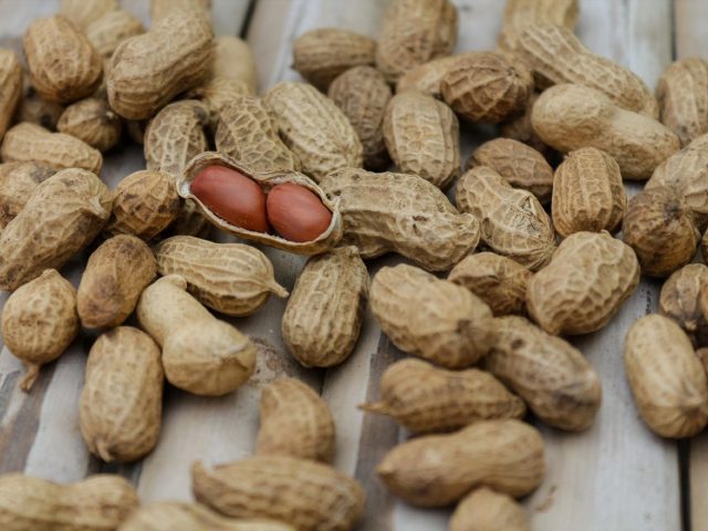 Guide nutrition pour séances courtes et intenses (HIIT)