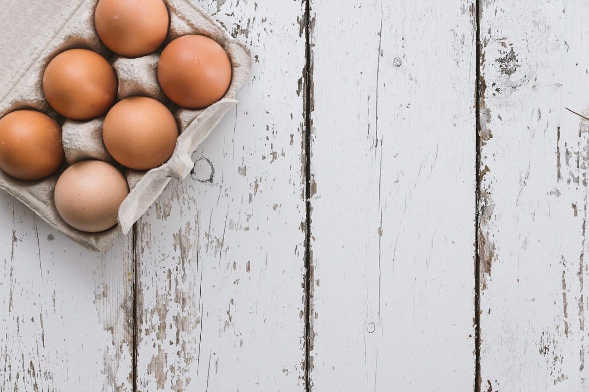 Protéines vegan pour récupération musculaire — 2026