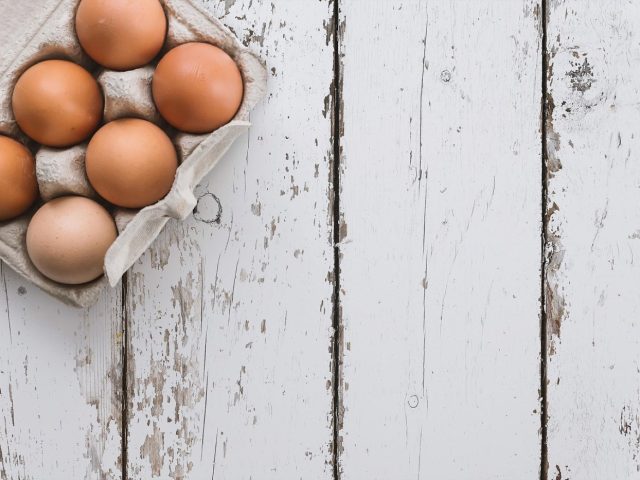 Protéines vegan pour récupération musculaire — 2026