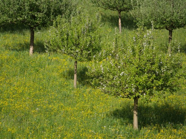 Comment se préparer pour éviter les allergies saisonnières ?
