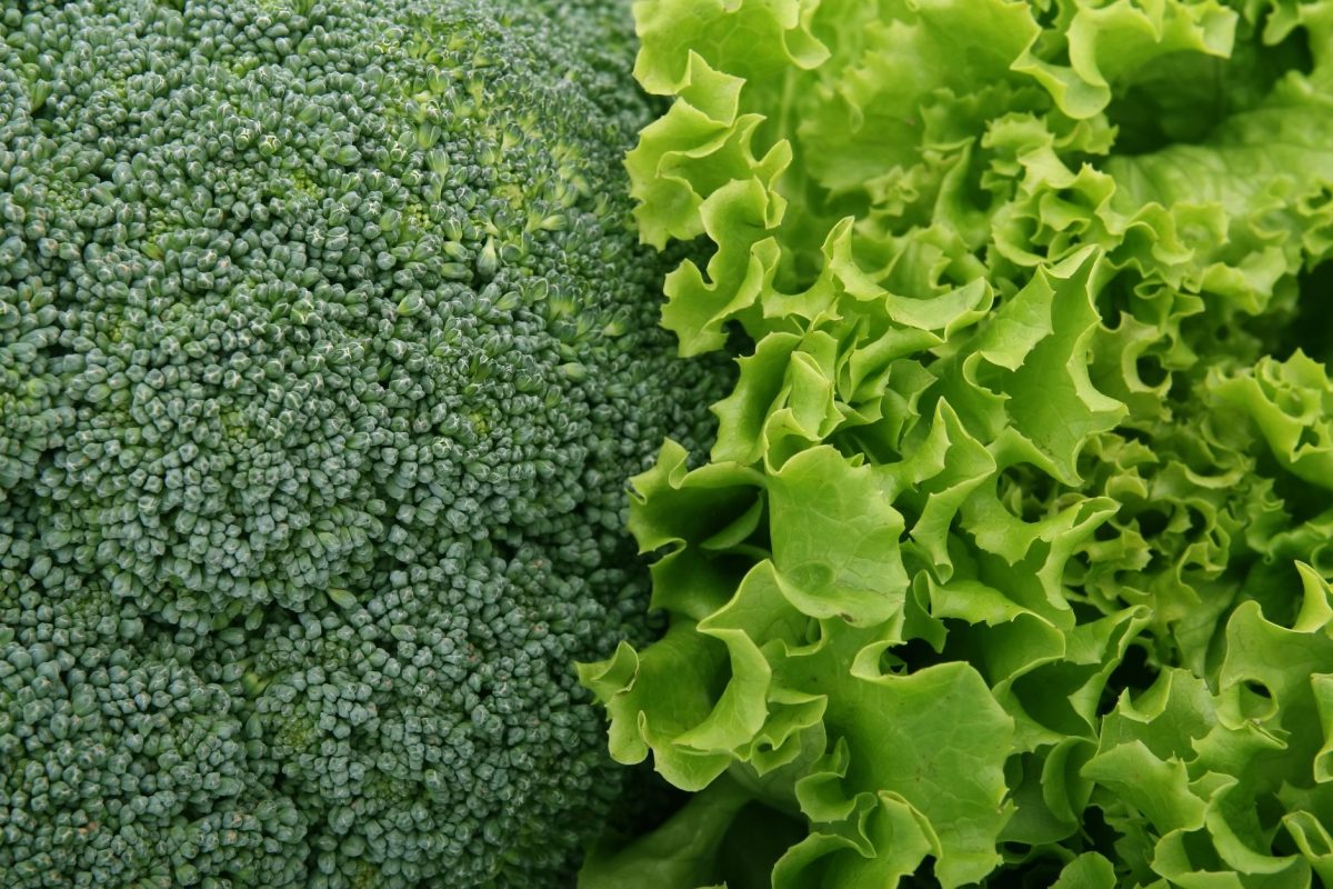 Quels légumes verts consommer en septembre pour booster votre santé ?